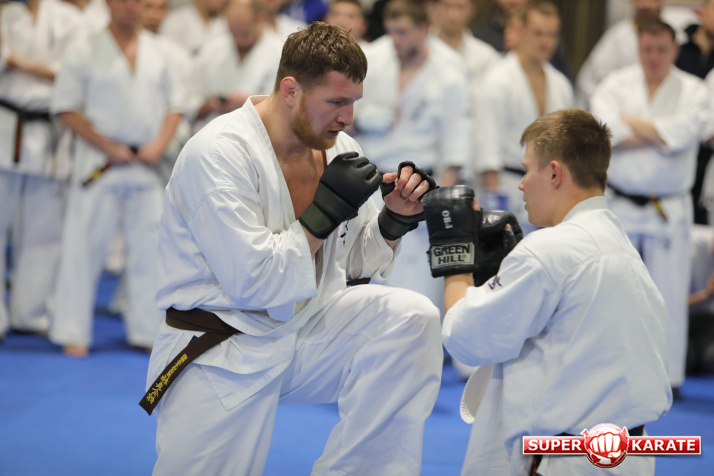 Kyokushin Fight