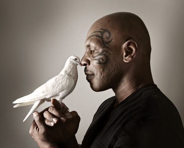 Насилие и голуби, или Как птицы помогли Майку Тайсону стать новым человеком