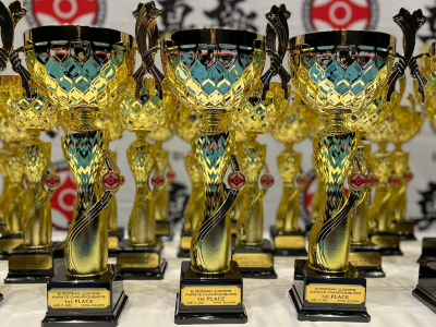 Результаты 35-го Чемпионата Европы по киокушин каратэ (IKO)