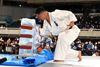 Итоги 54-го Чемпионата Японии - больше, чем просто результаты бойцов