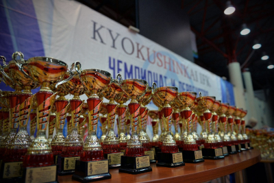 Результаты Первенства и Чемпионата ПФО по киокусинкай (IFK) 2023