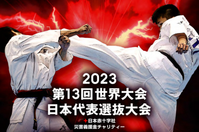 Сборная Японии на 13-й абсолютный чемпионат мира IKO