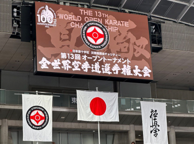 13-й абсолютный Чемпионат мира по киокушинкай. Итоги первого дня