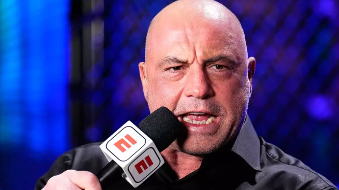 Джо Роган назвал сильнейшего нокаутера в истории UFC