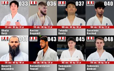 7-й Чемпионат мира ИКО. Весовая 90 кг (прогноз)