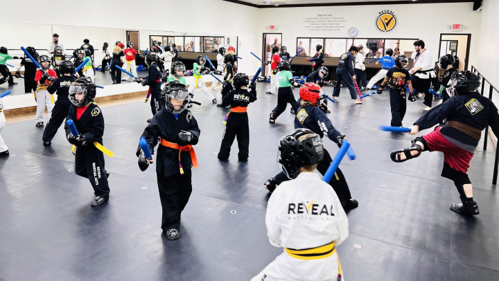 Искусство, спорт и наука в единоборствах для детей