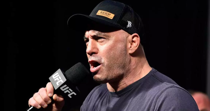 Стало известно, сколько зарабатывает Джо Роган в UFC