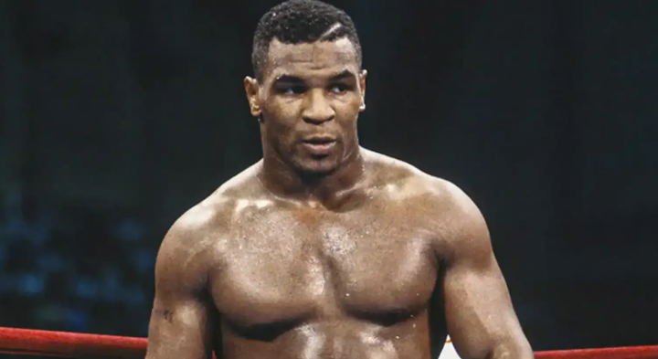 Быть лучше: Доминирование и психология в единоборствах