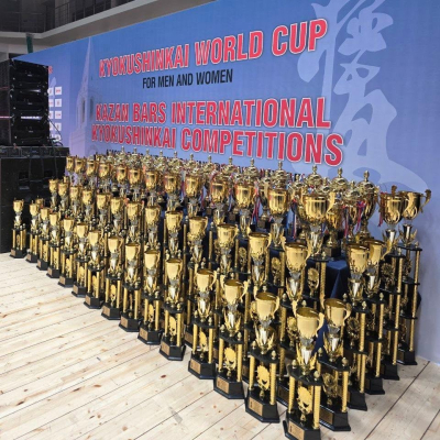 Результаты Кубка мира 2025 по киокусинкай (Кекусинкай) среди мужчин и женщин